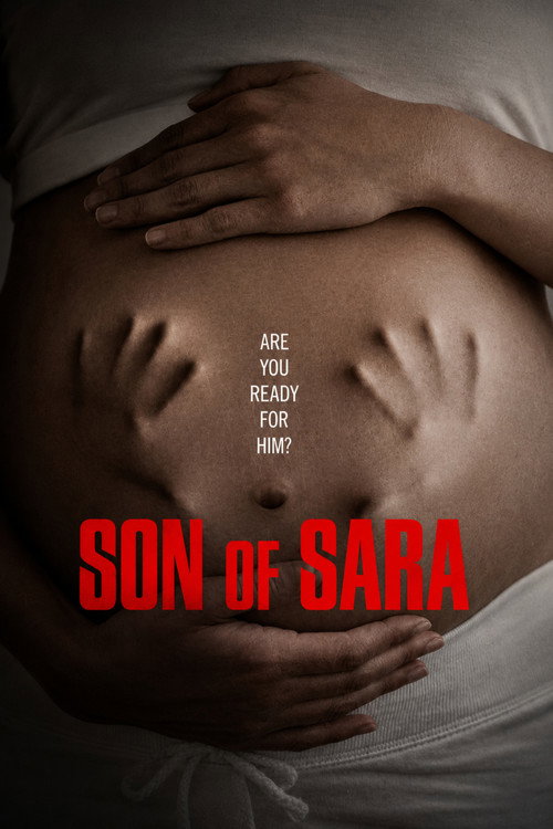 Son of Sara: Volume 1 (2025) Dual Audio {Hindi-English} WEB-DL 480p, 720p 1080p Esub