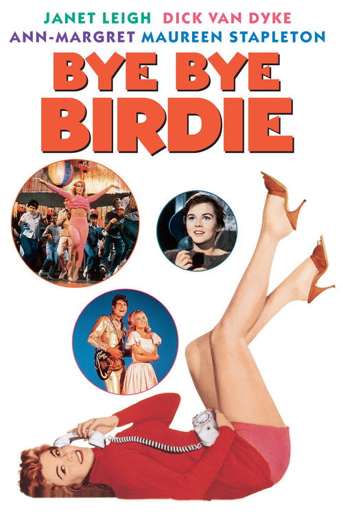 Bye Bye Birdie (1963) Dual Audio {Hindi-English} BluRay 480p, 720p 1080p ESub